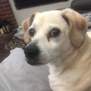 Meet your Posher, Jim